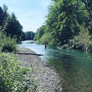 Meet your Posher, Nina